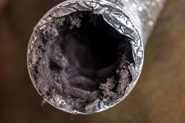 Best HVAC System Cleaning  in Sur Hill, GA